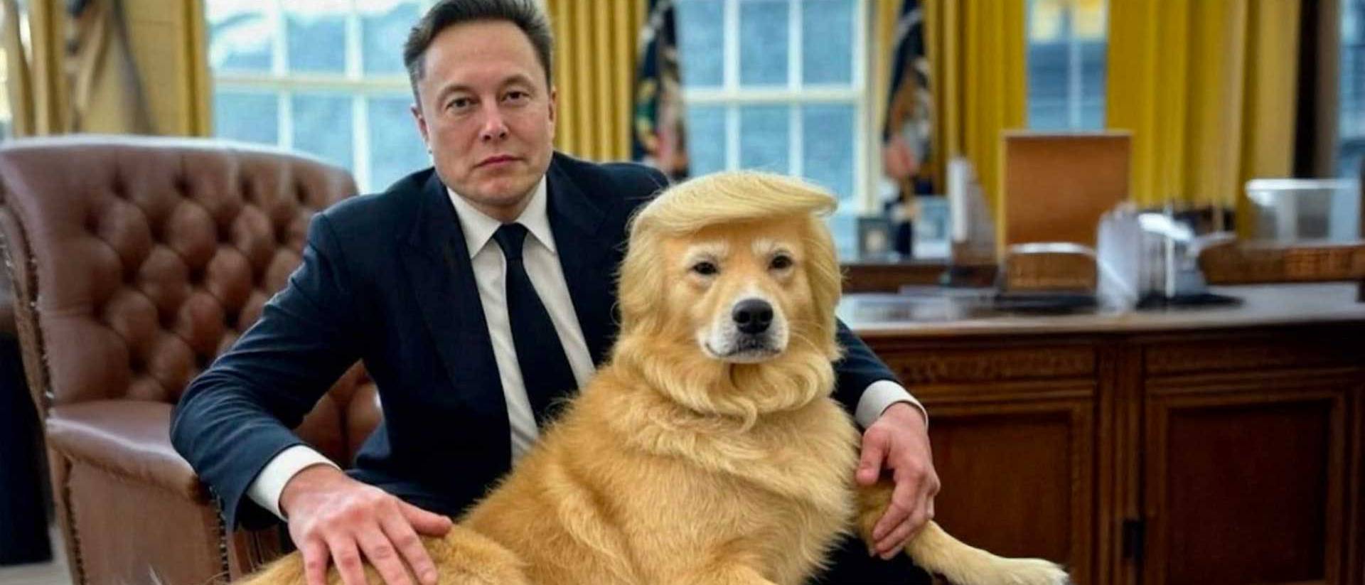 Elon Musk und Donald Trump als Golden Retriever